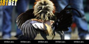 Kèo Meron, Wala là gì