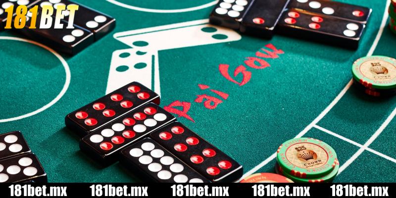 Sai lầm phổ biến cần tránh khi chơi Bài cẩu