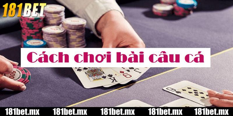 Tổng quan về game bài Câu Cá tại 181BET